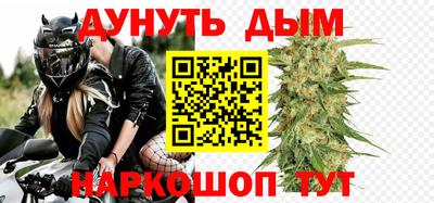 прущие грибы Гусиноозёрск