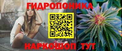 шишки Гусев
