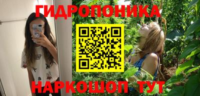 шишки Гусев
