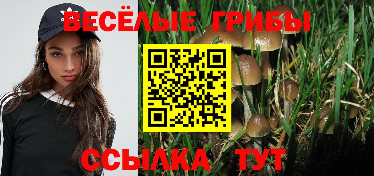 Псилоцибиновые грибы мухоморы  Вход с VPN  Ирбит 